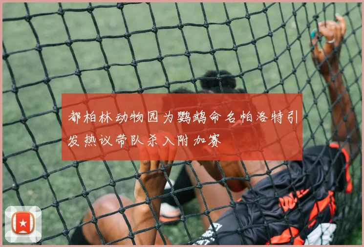 都柏林动物园为鹦鹉命名帕洛特引发热议带队杀入附加赛