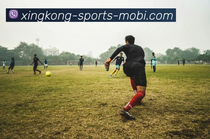 星空体育平台生态图