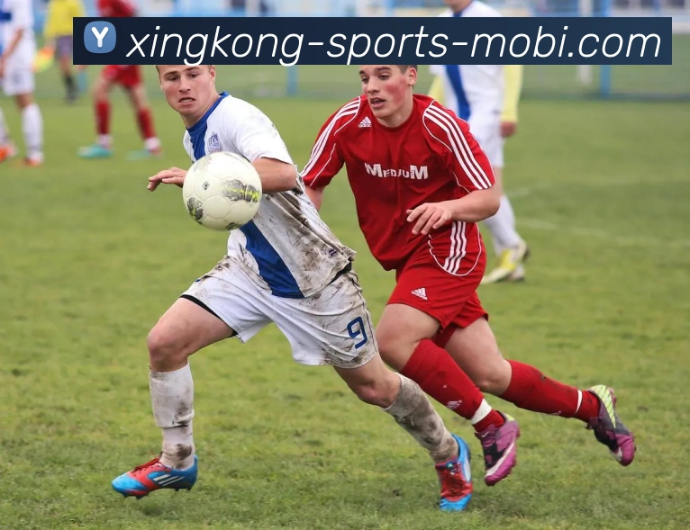 星空体育APP 封面图